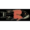 SHEEPSHEAD FISH PIN OCEAN FISHING PINS